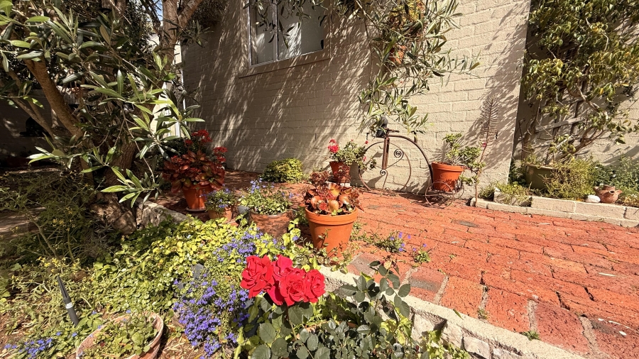 4 Bedroom Property for Sale in Myburgh Park Western Cape